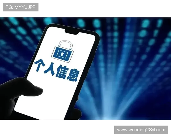 问鼎游戏平台官网首页登录过程中如何有效保护个人账号信息安全